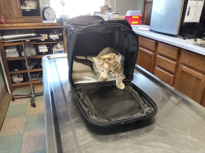 Wabasha Veterinary Clinic 1
