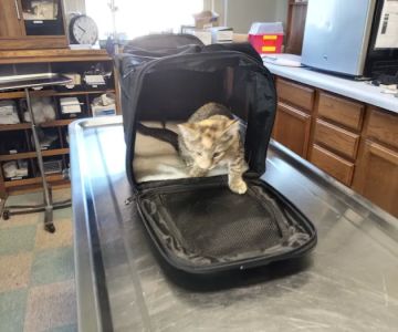 Wabasha Veterinary Clinic