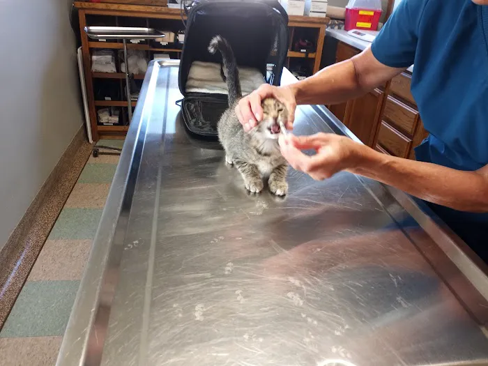 Wabasha Veterinary Clinic 2