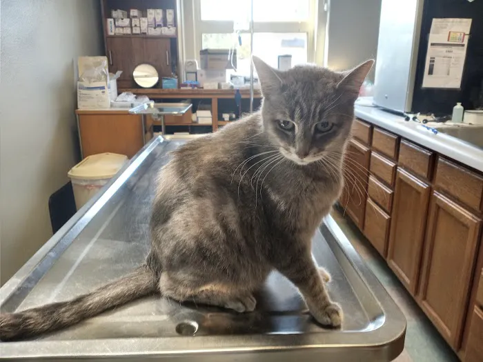 Wabasha Veterinary Clinic 3