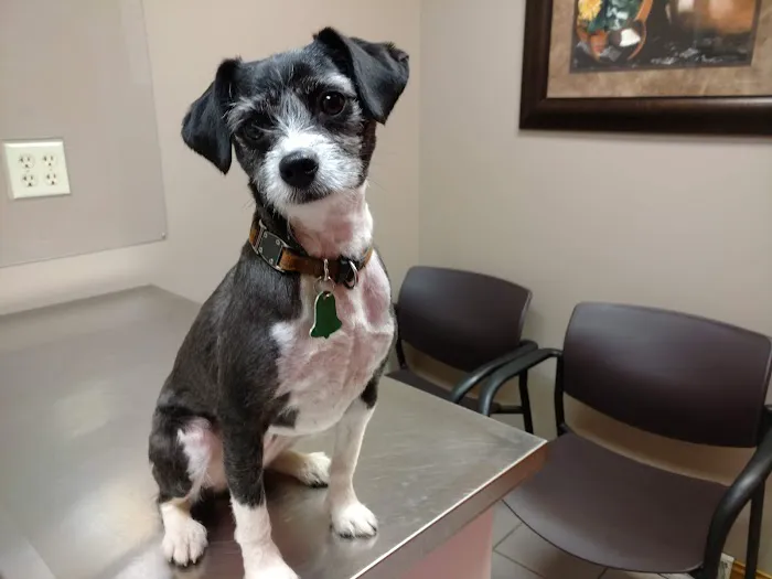 Cannon Valley Veterinary Clinic 2
