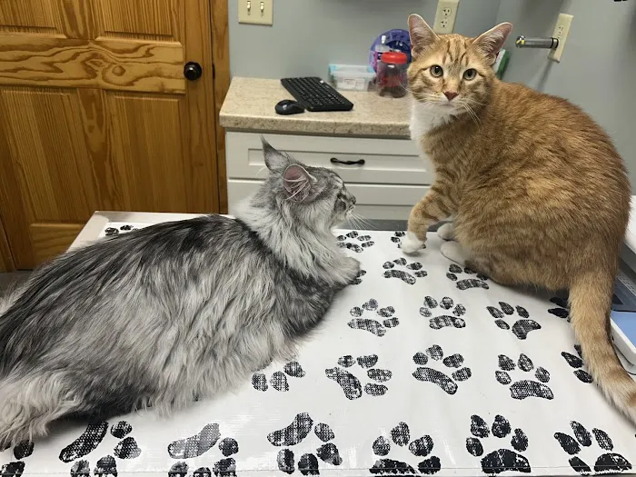 Countryside Animal Hospital 5