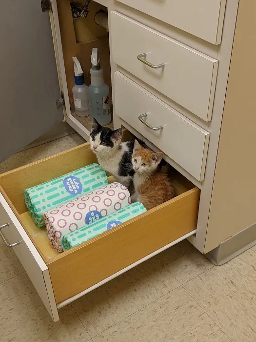 Countryside Animal Hospital 2