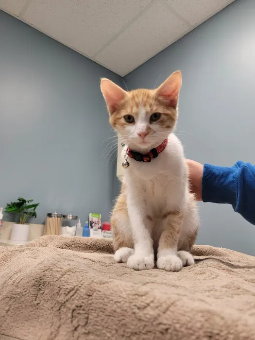 Banfield Pet Hospital 12