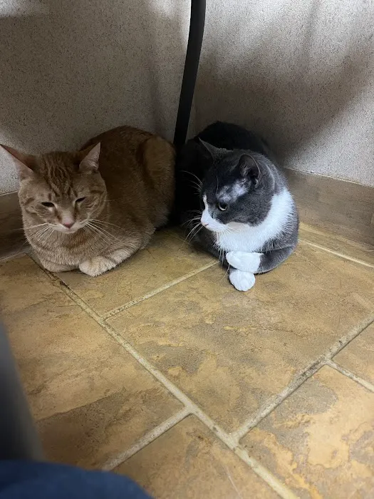 VCA Cascade Animal Medical Center & Inn 12