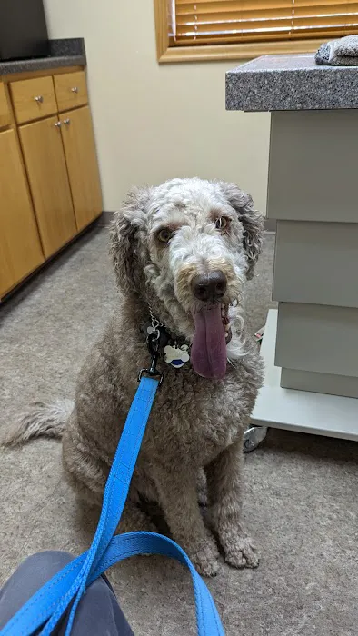 Meadow View Veterinary Clinic 12
