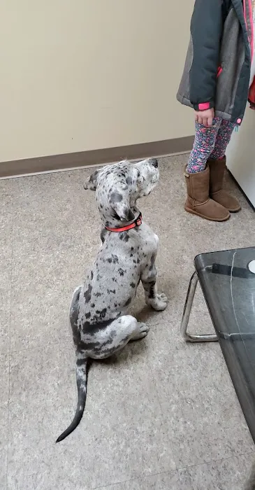 Meadow View Veterinary Clinic 12