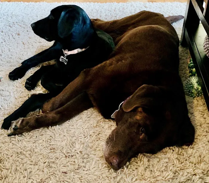 Animal Wellness Center of Buffalo Valley 9
