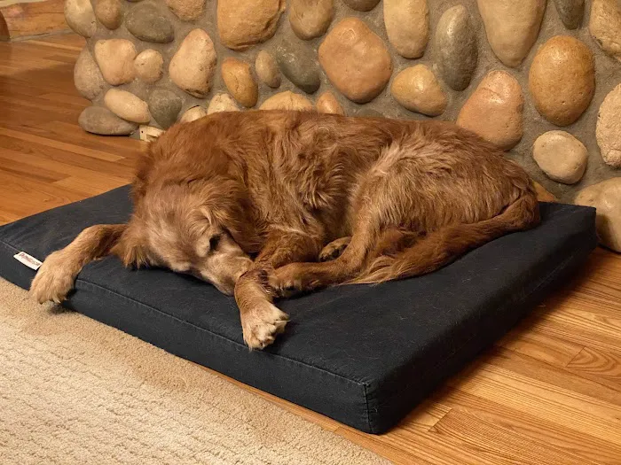 Animal Wellness Center of Buffalo Valley 4