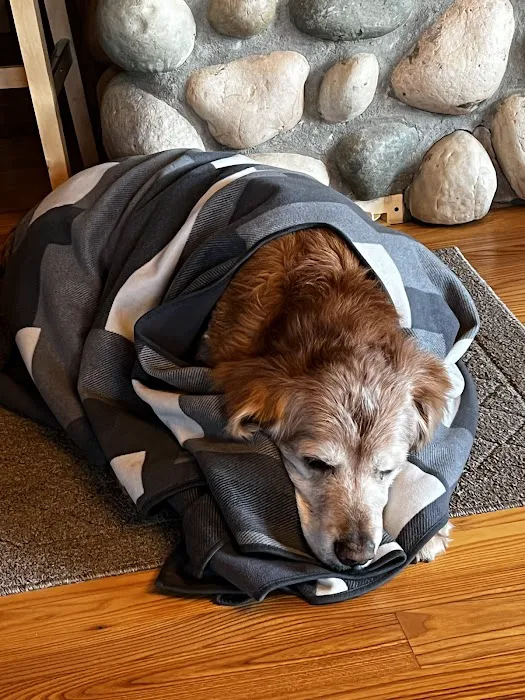 Animal Wellness Center of Buffalo Valley 5