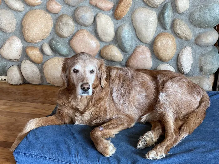 Animal Wellness Center of Buffalo Valley 10