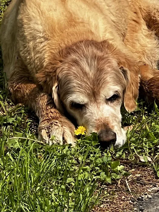 Animal Wellness Center of Buffalo Valley 8