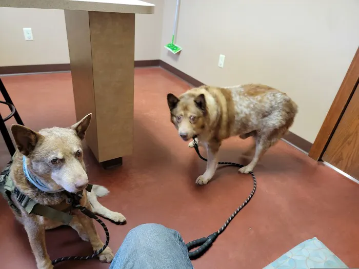 Animal Wellness Center of Buffalo Valley 1