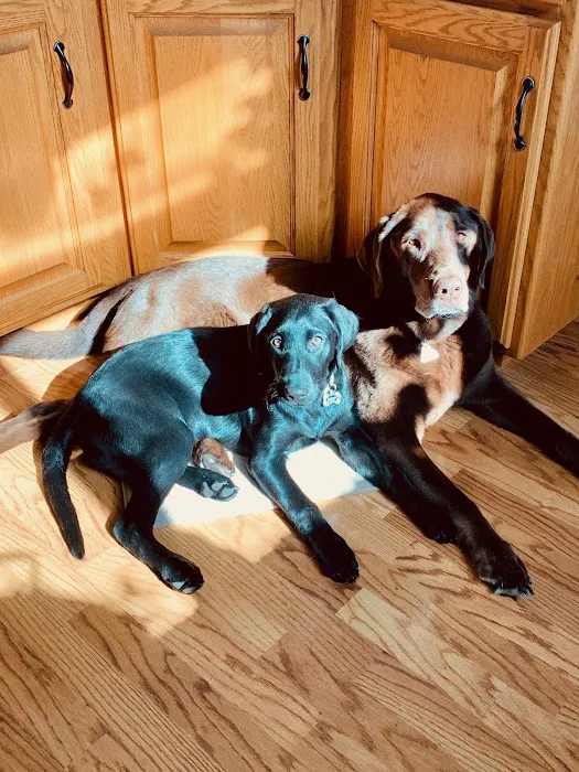 Animal Wellness Center of Buffalo Valley 7