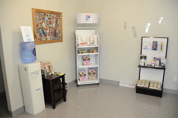 All Paws Animal Hospital 9