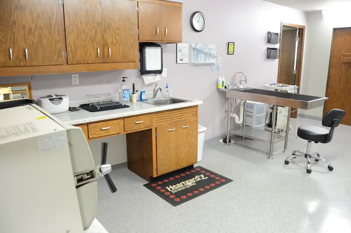 All Paws Animal Hospital 7