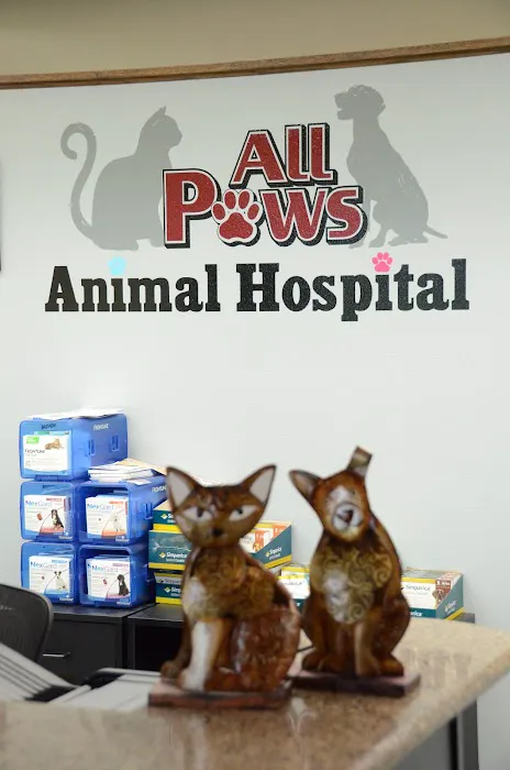 All Paws Animal Hospital 4