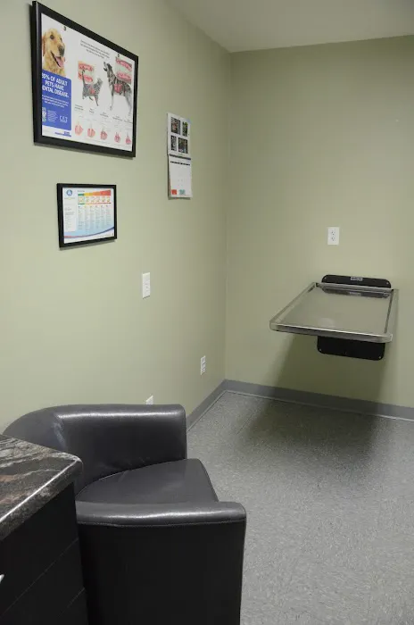 All Paws Animal Hospital 6