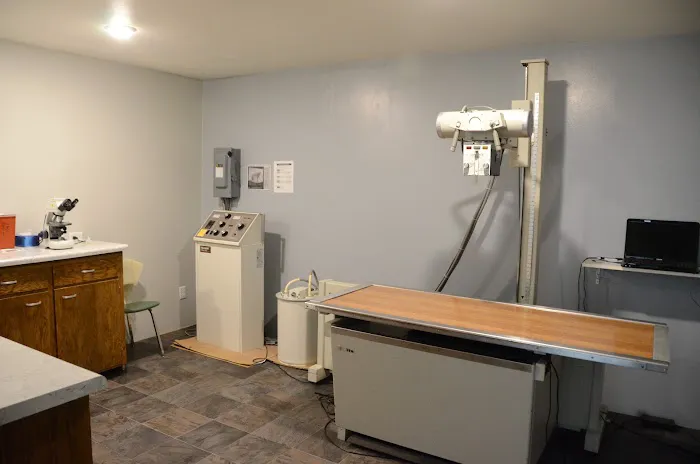 All Paws Animal Hospital 3
