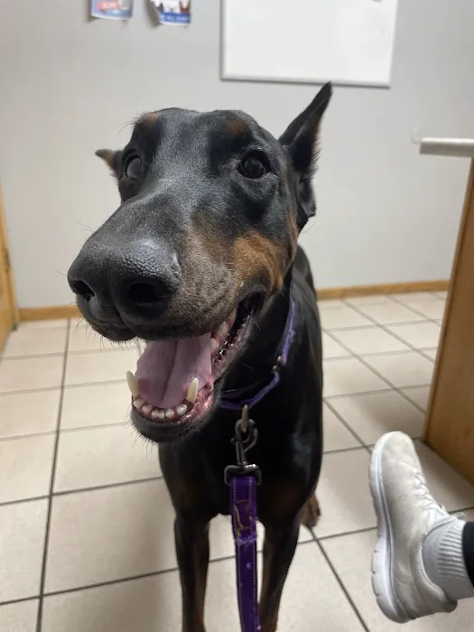 Heartland Animal Hospital 12