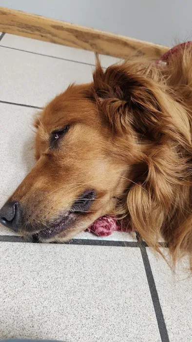 Heartland Animal Hospital 12