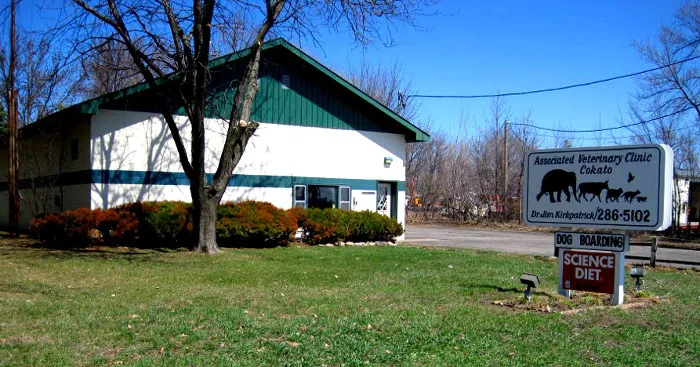 Associated Veterinary Clinic 12