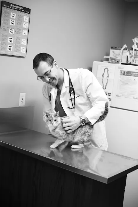 Associated Veterinary Clinic 12