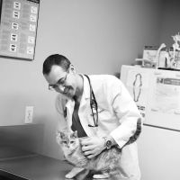 Associated Veterinary Clinic ico