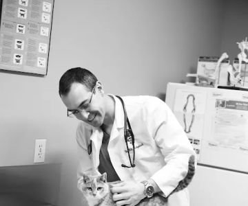 Associated Veterinary Clinic