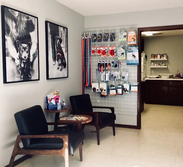 Associated Veterinary Clinic 12