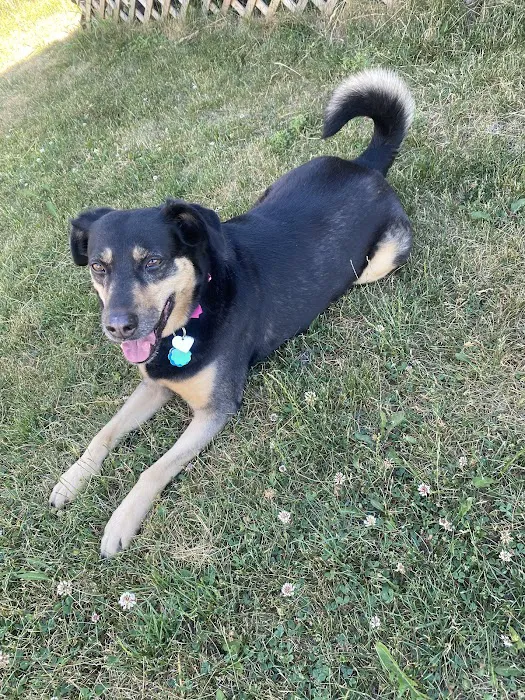 Animal Medical Center On Crow River 12