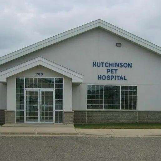 Hutchinson Pet Hospital: Roffey Kristen DVM 12