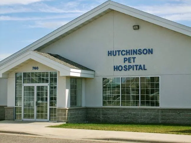 Hutchinson Pet Hospital: Roffey Kristen DVM 12