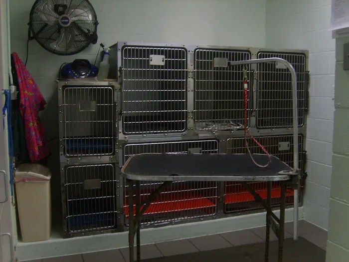 Hutchinson Pet Hospital: Roffey Kristen DVM 12
