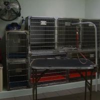 Hutchinson Pet Hospital: Roffey Kristen DVM ico