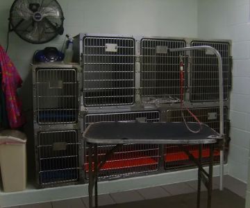 Hutchinson Pet Hospital: Roffey Kristen DVM