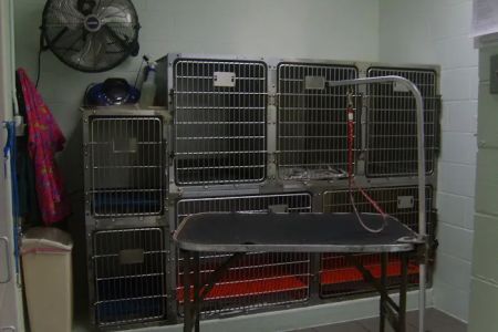 Hutchinson Pet Hospital: Roffey Kristen DVM