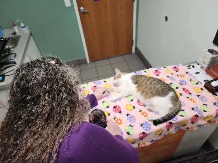 Hutchinson Pet Hospital 8