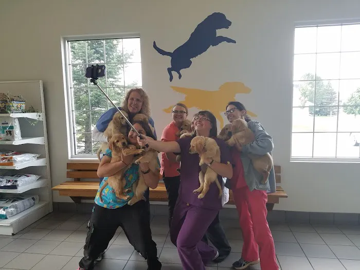 Hutchinson Pet Hospital 5