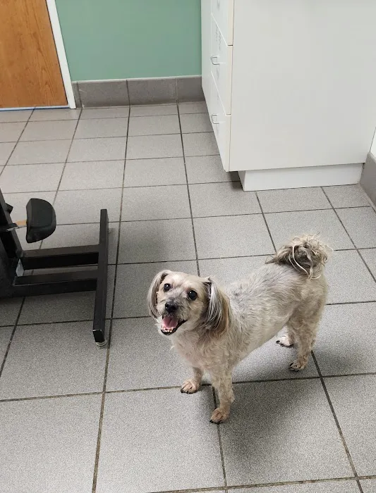 Hutchinson Pet Hospital 1