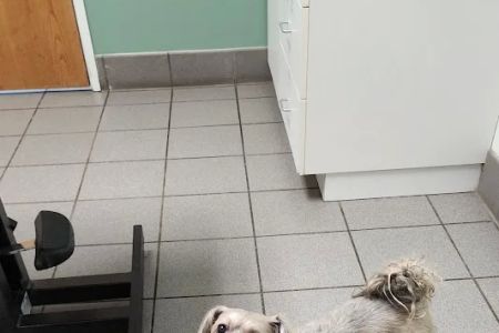 Hutchinson Pet Hospital