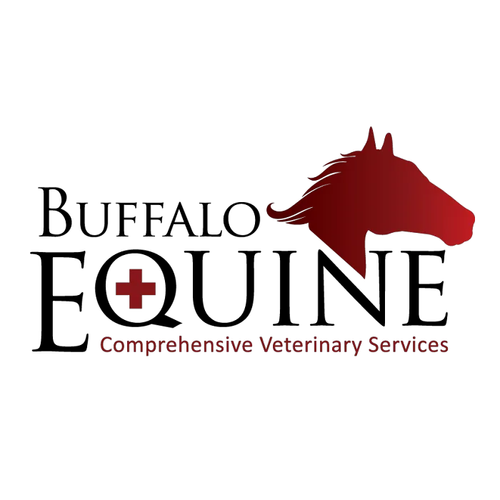 Buffalo Equine 12