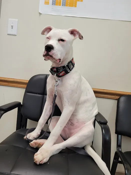 Maple Lake Veterinary Clinic 12