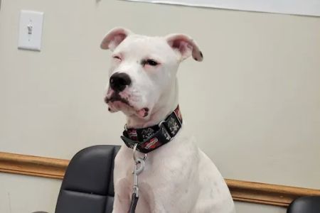 Maple Lake Veterinary Clinic