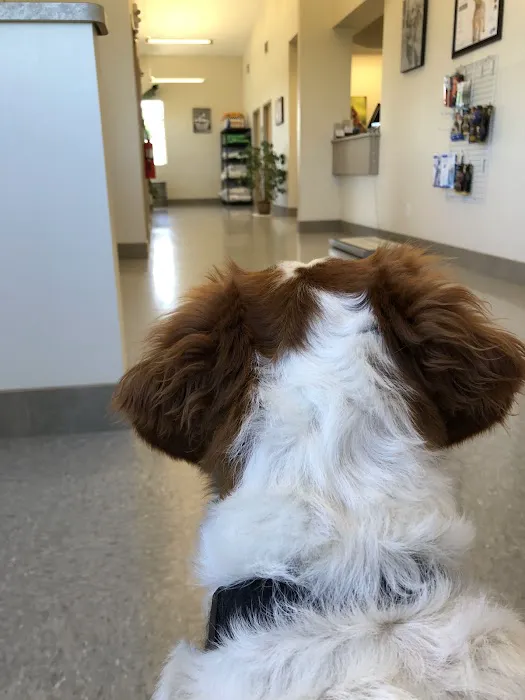 Maple Lake Veterinary Clinic 12