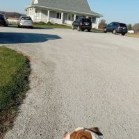 Marion Animal Hospital ico