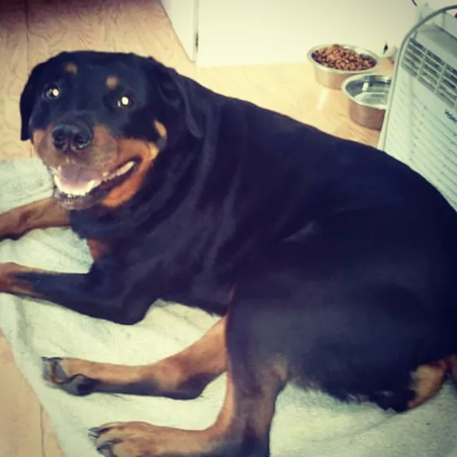 Marion Animal Hospital 2