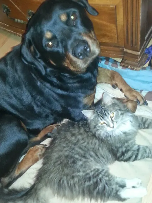 Marion Animal Hospital 3