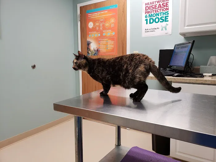 Waldo Animal Clinic 3