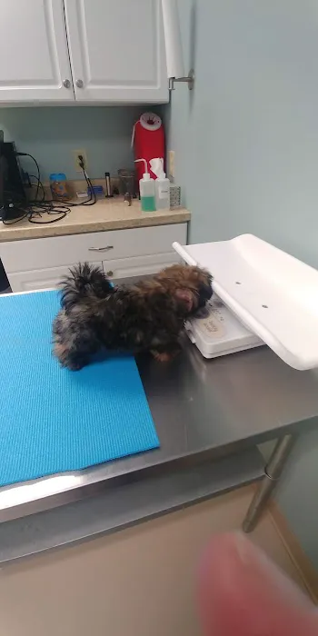 Waldo Animal Clinic 6